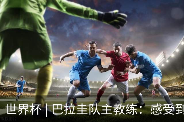 世界杯 | 巴拉圭队主教练：感受到比赛的极致压力