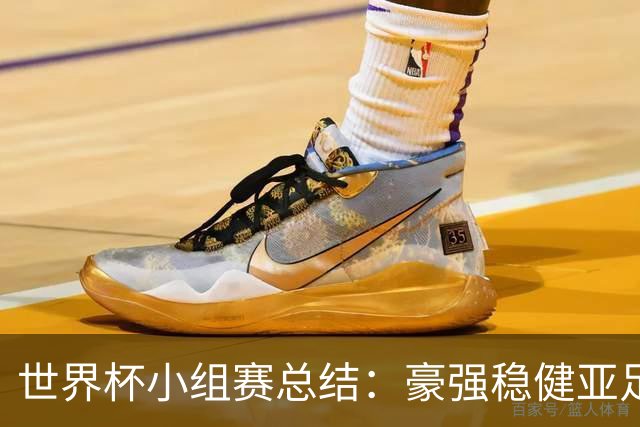 世界杯小组赛总结：豪强稳健亚足联9进2 真正的世界杯才刚开始
