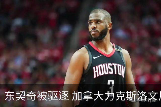 东契奇被驱逐 加拿大力克斯洛文尼亚晋级四强