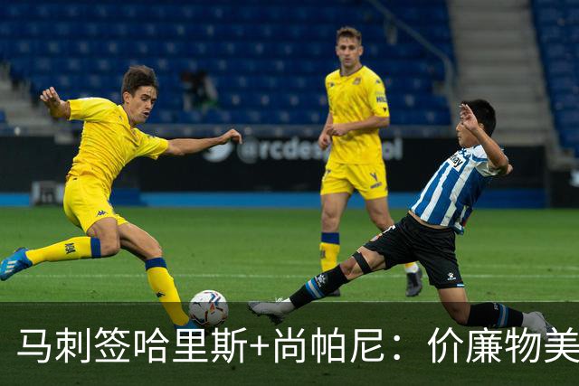 马刺签哈里斯+尚帕尼：价廉物美